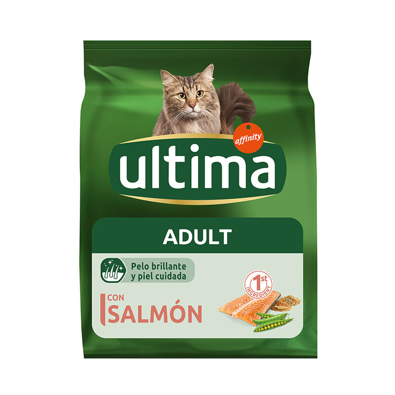 Ultima Adult Salmão ração para gatos, , large image number null