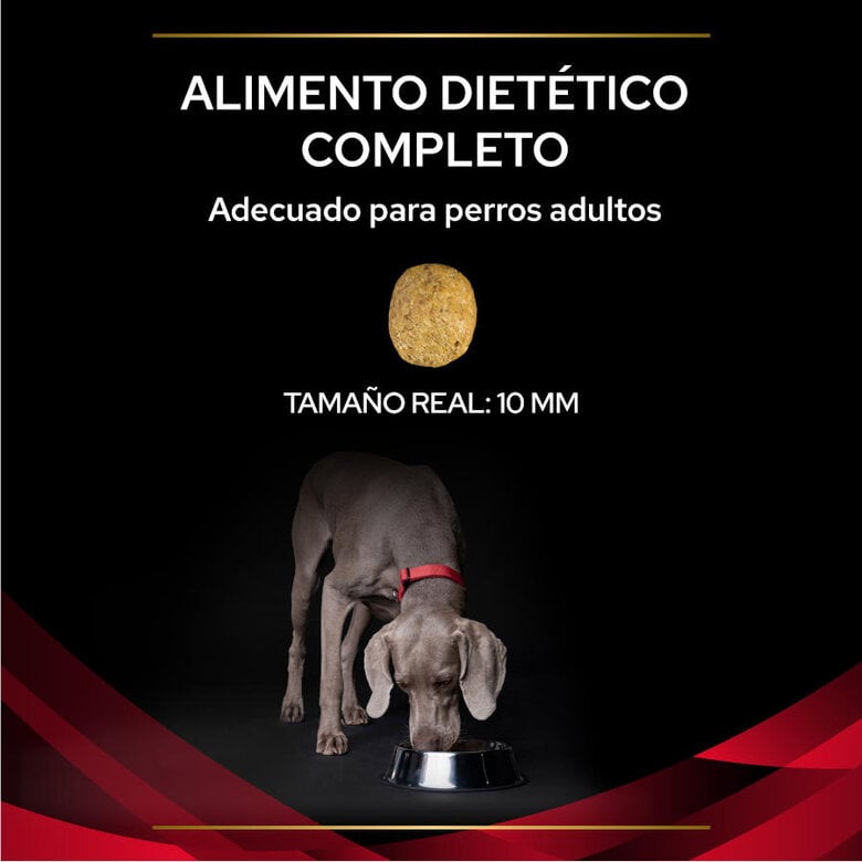 Pro Plan Veterinary Diets DM Diabetic ração para cães,  Imagem número 3 Pro Plan Veterinary Diets DM Diabetic ração para cães, , large Imagem número 3
