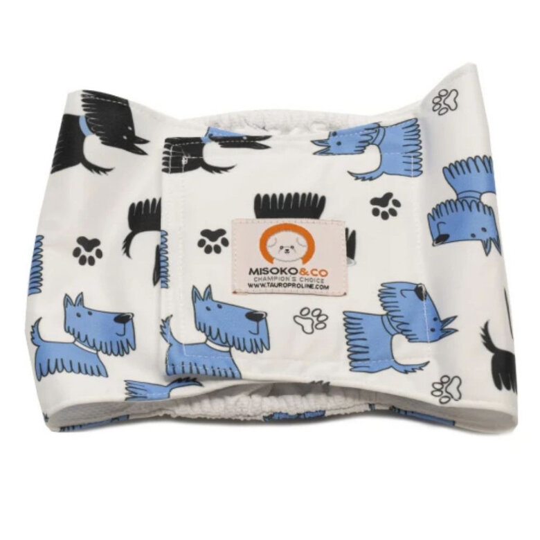 Misoko Fraldas Reutilizáveis para cachorros machos,  Imagem número 1 Misoko Fraldas Reutilizáveis para cachorros machos, , large Imagem número 1