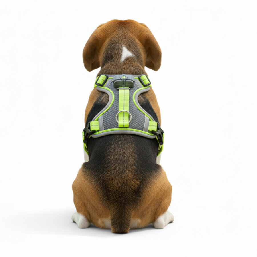 All For Paws K-Nite Peitoral com luz para c&atilde;es, , large Imagem n&uacute;mero 3