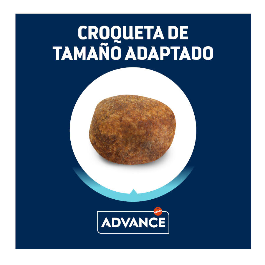 11.5 kg Advance Active Defense Adult Labrador & Golden Retriever Frango e Arroz ra&ccedil;&atilde;o para c&atilde;es, , large Imagem n&uacute;mero 2