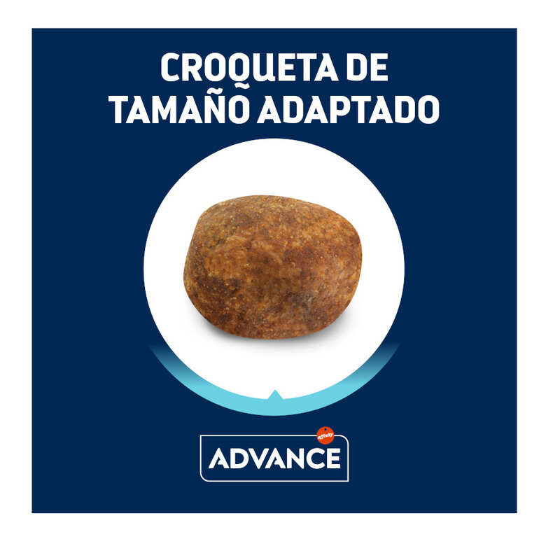 11.5 kg Advance Active Defense Adult Labrador & Golden Retriever Frango e Arroz ração para cães,  Imagem número 2 11.5 kg Advance Active Defense Adult Labrador & Golden Retriever Frango e Arroz ração para cães, , large Imagem número 2