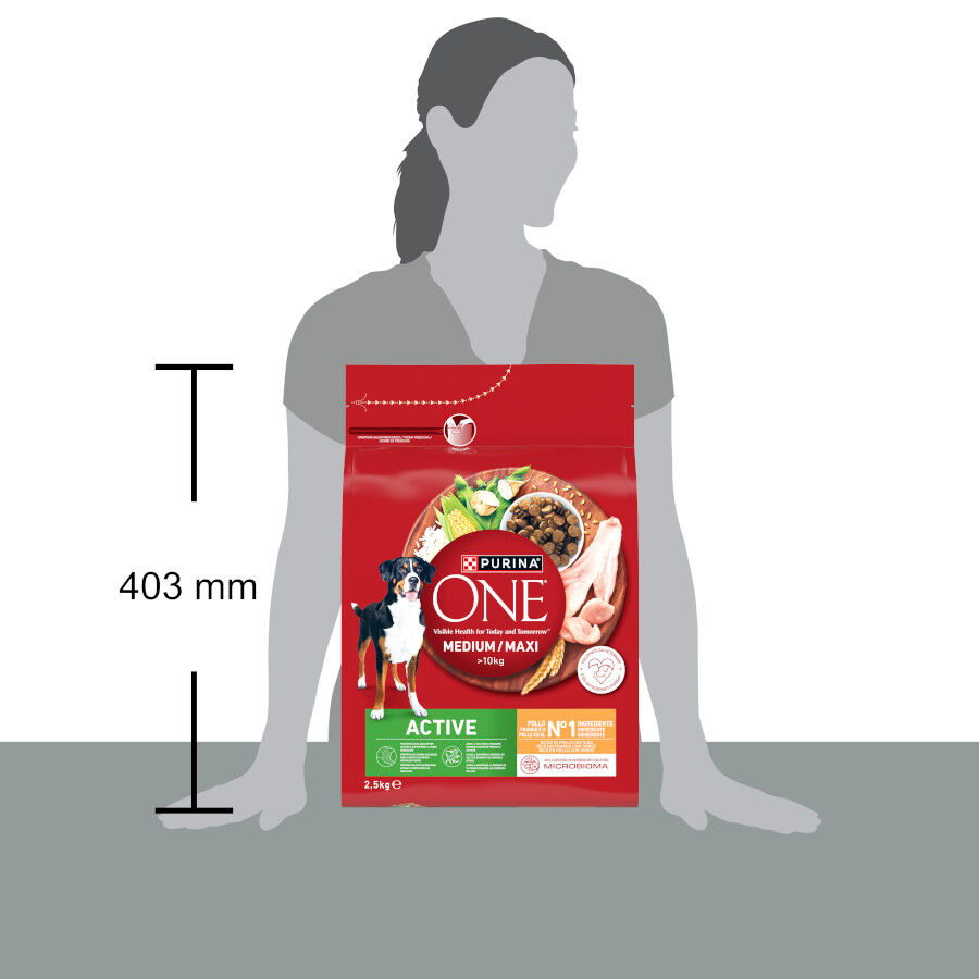 7 kg Purina One Active Pienso Pollo para perros, , large Imagem n&uacute;mero 4