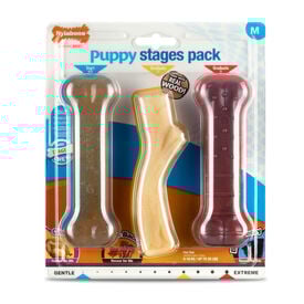 Nylabone Trio de Mordedores com Sabor a Frango, Bacon e Carne para cachorros