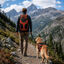 Outech X-perience Mochila Desportiva de transporte para c&atilde;es e gatos, , large Indicador imagem n&uacute;mero 2