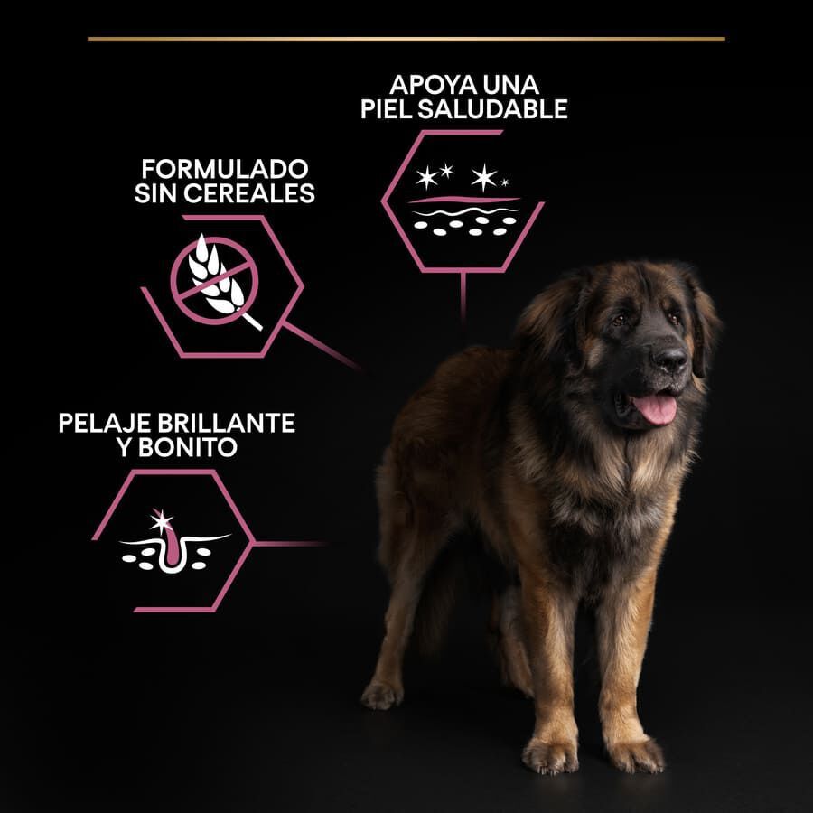 14 kg Pro Plan Adult Large Robust Peles Sens&iacute;veis Salm&atilde;o ra&ccedil;&atilde;o para c&atilde;es, , large Imagem n&uacute;mero 4