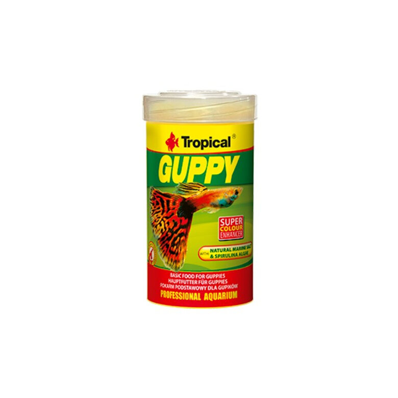 Tropical Guppy Alimento en Escamas para peixes,  Imagem número 1 Tropical Guppy Alimento en Escamas para peixes, , large Imagem número 1
