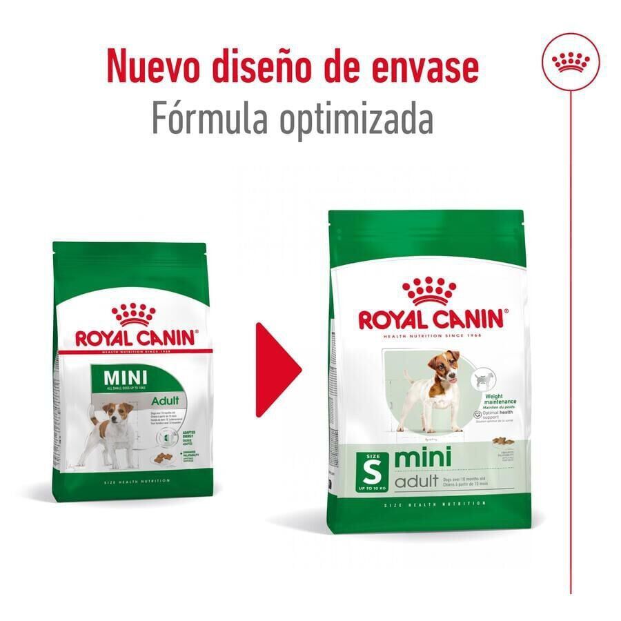 9 kg (8 + 1 kg &iexcl;gratis!) Royal Canin Mini Adult ra&ccedil;&atilde;o para c&atilde;es, , large Imagem n&uacute;mero 3