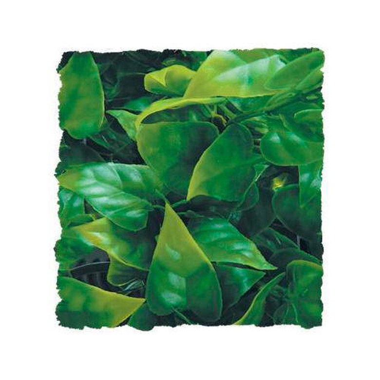decoracion_reptiles_zoomed_phyllo_mexicano_NAYE50032_M Imagem número 1 ZooMed Phyllo Mexicano planta para terrario Imagem número 1