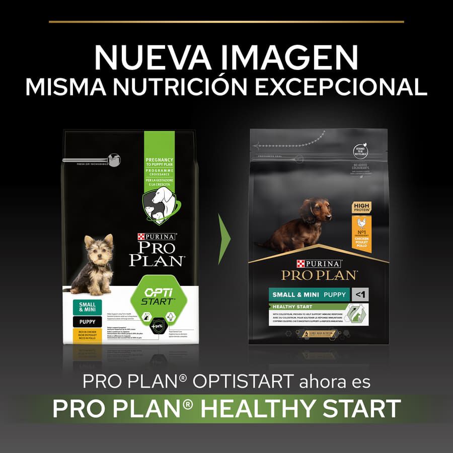 Pro Plan Puppy Small e Mini Healthy Start Frango ra&ccedil;&atilde;o, , large Imagem n&uacute;mero 2