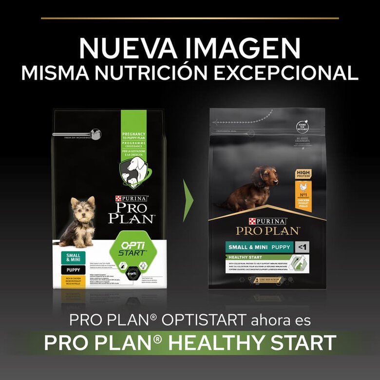Pro Plan Puppy Small e Mini Healthy Start Frango ração,  Imagem número 2 Pro Plan Puppy Small e Mini Healthy Start Frango ração, , large Imagem número 2
