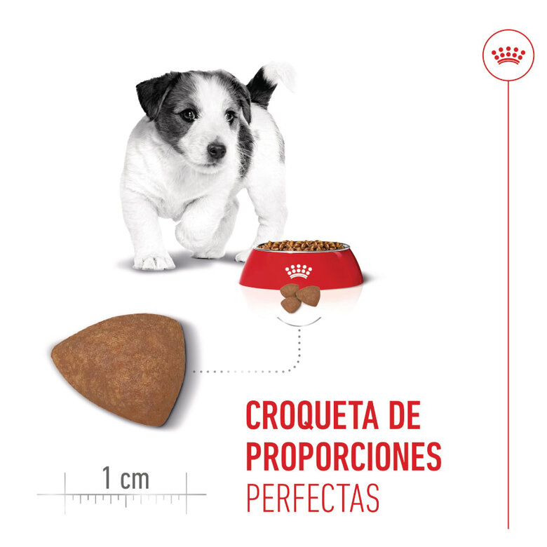 8 kg Royal Canin Mini Puppy ração para cães,  Imagem número 5 8 kg Royal Canin Mini Puppy ração para cães, , large Imagem número 5