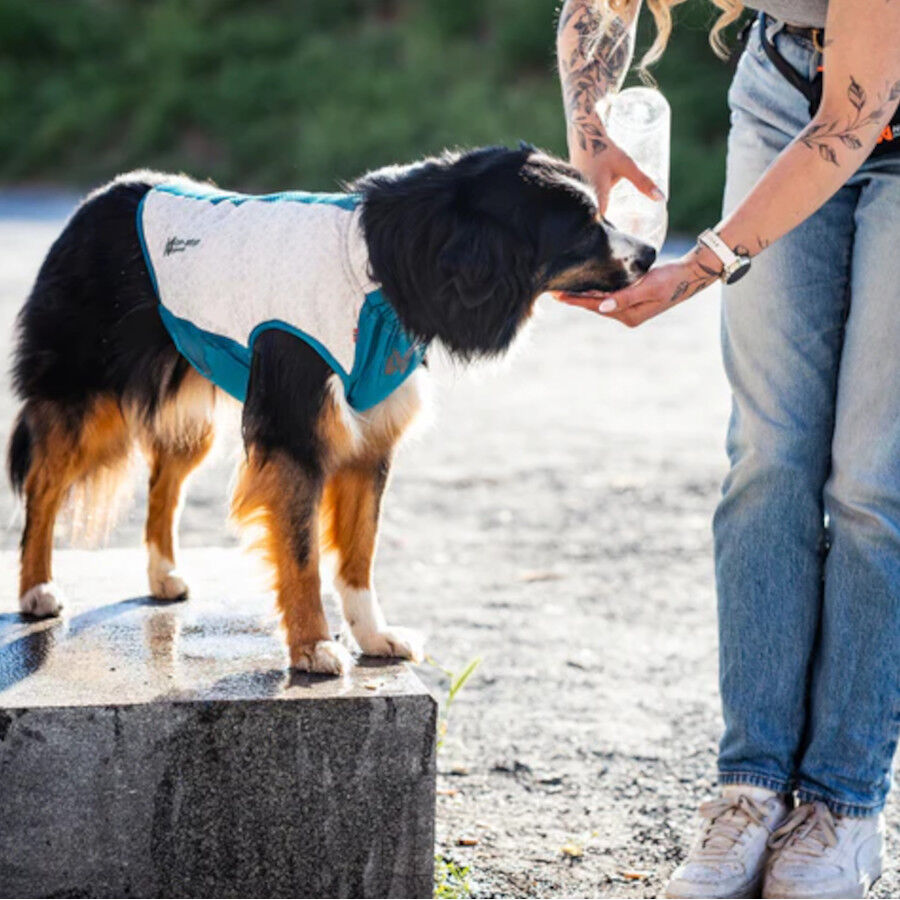 Non-stop Dogwear Colete Refrescante Pull-On Cinzento para c&atilde;es, , large Imagem n&uacute;mero 4