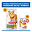 1.5 kg Hill's Science Plan Youthful Vitality Frango ra&ccedil;&atilde;o para gatos, , large Indicador imagem n&uacute;mero 8