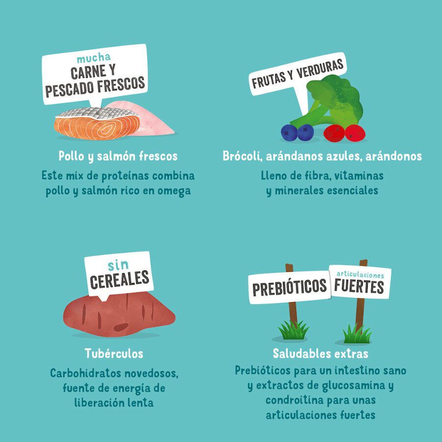 12 kg Edgard & Cooper Senior Salm&atilde;o da Noruega e Frango ra&ccedil;&atilde;o para c&atilde;es, , large Imagem n&uacute;mero 4