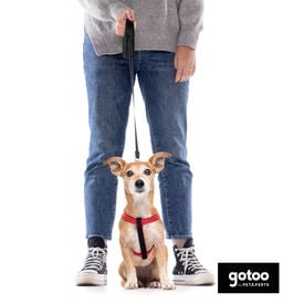 Gotoo Trela extensível preta para cães