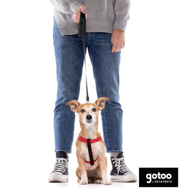 Gotoo Trela extensível preta para cães