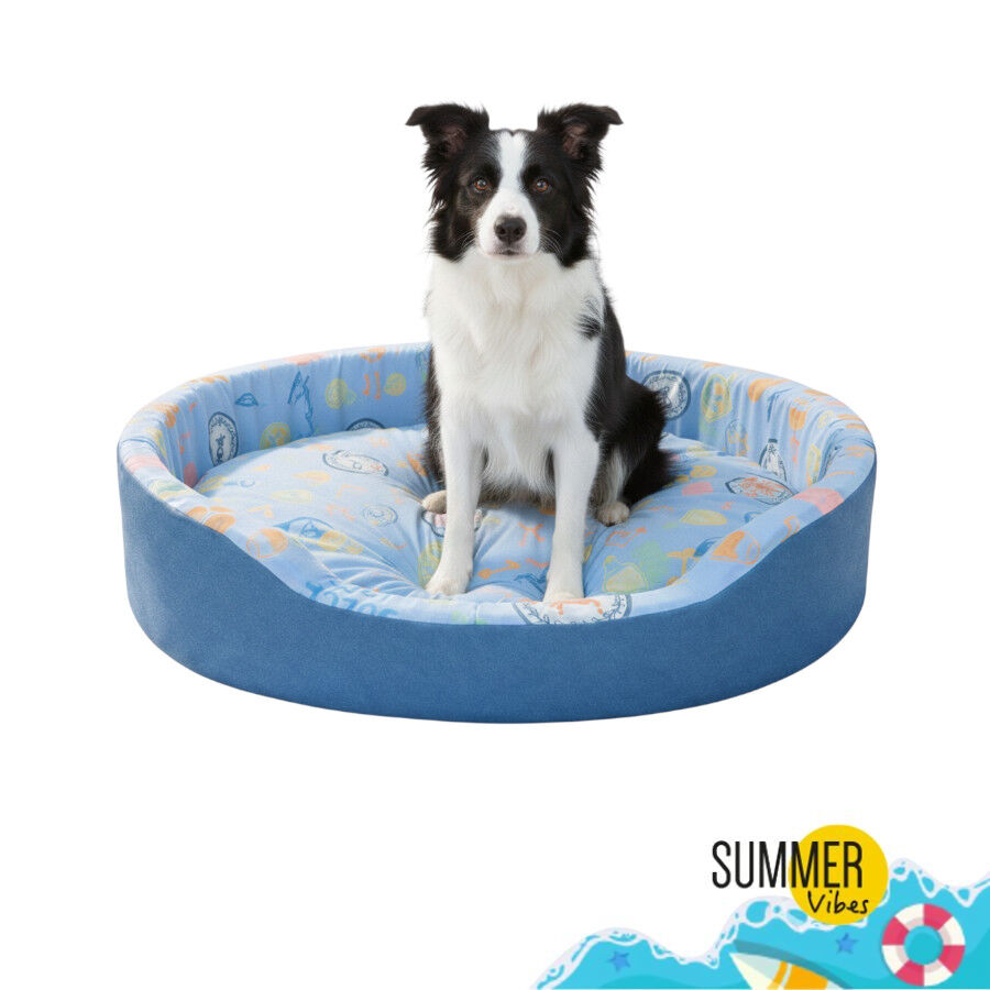 Summer Vibes Cool Bed Club Cama Refrescante para c&atilde;es, , large Imagem n&uacute;mero 7