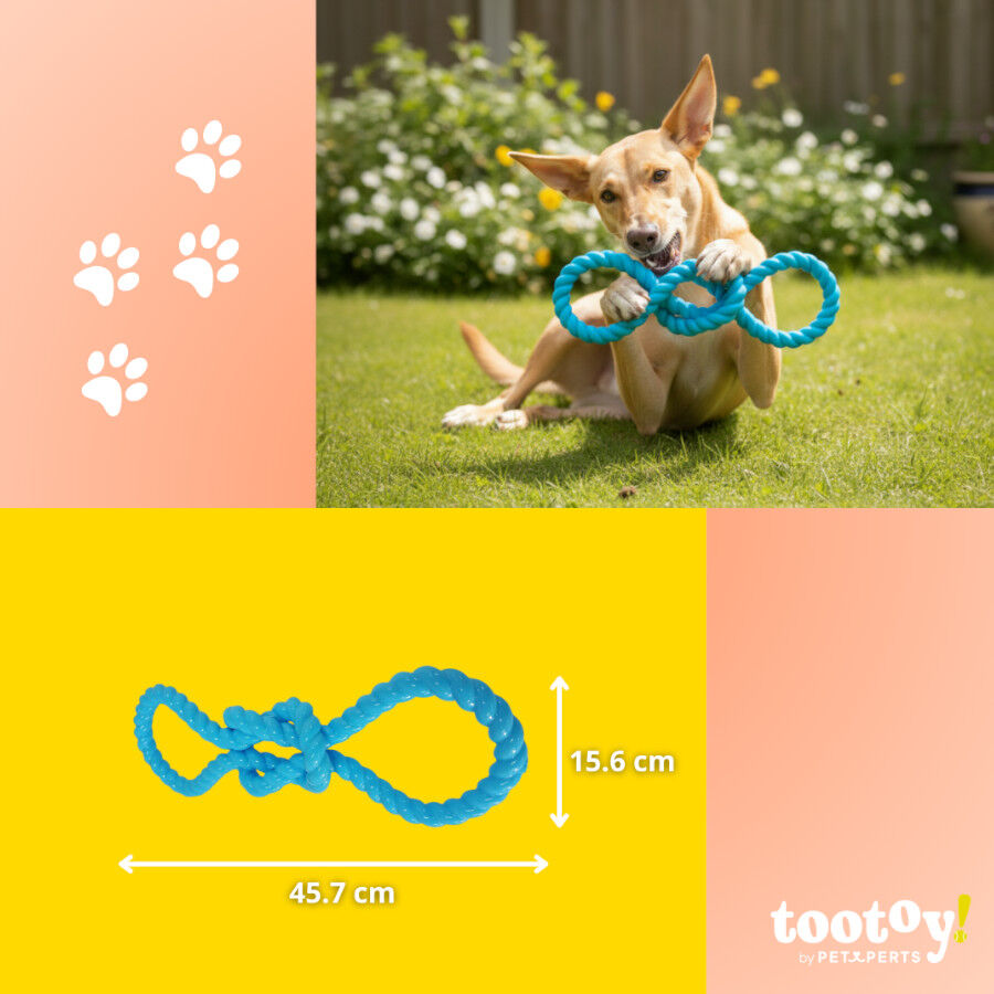 Tootoy! Pull N&oacute; de borracha de brinquedo para c&atilde;es, , large Imagem n&uacute;mero 5