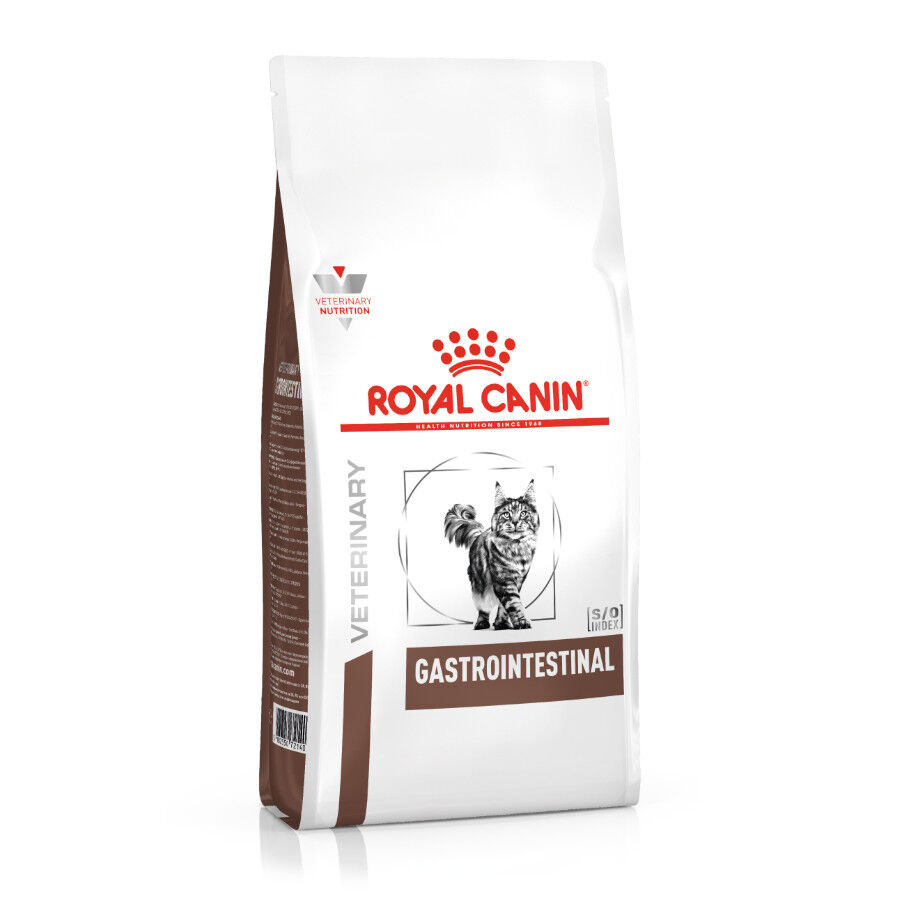 4 kg Royal Canin Veterinary Gastrointestinal ra&ccedil;&atilde;o para gatos , , large Imagem n&uacute;mero 1