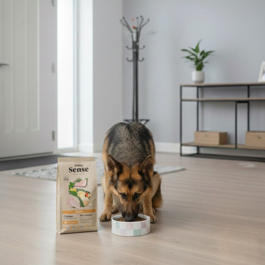 12 kg Dibaq Sense Low Grain Adult Pollo Pienso para perros, , large Imagem n&uacute;mero 5