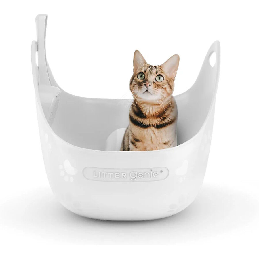 Litter Genie Caixa de Areia com p&aacute; para gatos, , large Imagem n&uacute;mero 2
