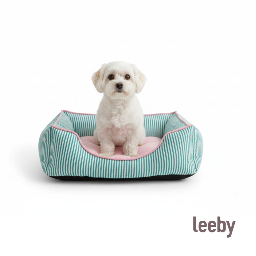 Leeby Cama riscas finas para c&atilde;es, , large Imagem n&uacute;mero 8
