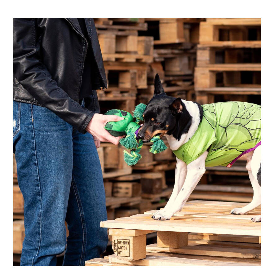 Disney Marvel Hulk de Peluche com Corda para c&atilde;es, , large Imagem n&uacute;mero 4