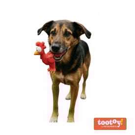 Tootoy! Chew Brinquedo galinha divertida para cães