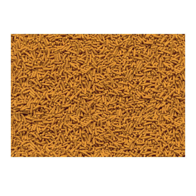 Tetra Cichlid Sticks para peixes,  Imagem número 2 Tetra Cichlid Sticks para peixes, , large Imagem número 2