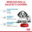 15 kg Royal Canin Puppy Medium ração para cães, , large Indicador imagem número 6
