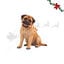 1 un. Wonder Christmas Bengala de Natal Gigante de Couro Prensado Snacks para C&atilde;es, , large Indicador imagem n&uacute;mero 1