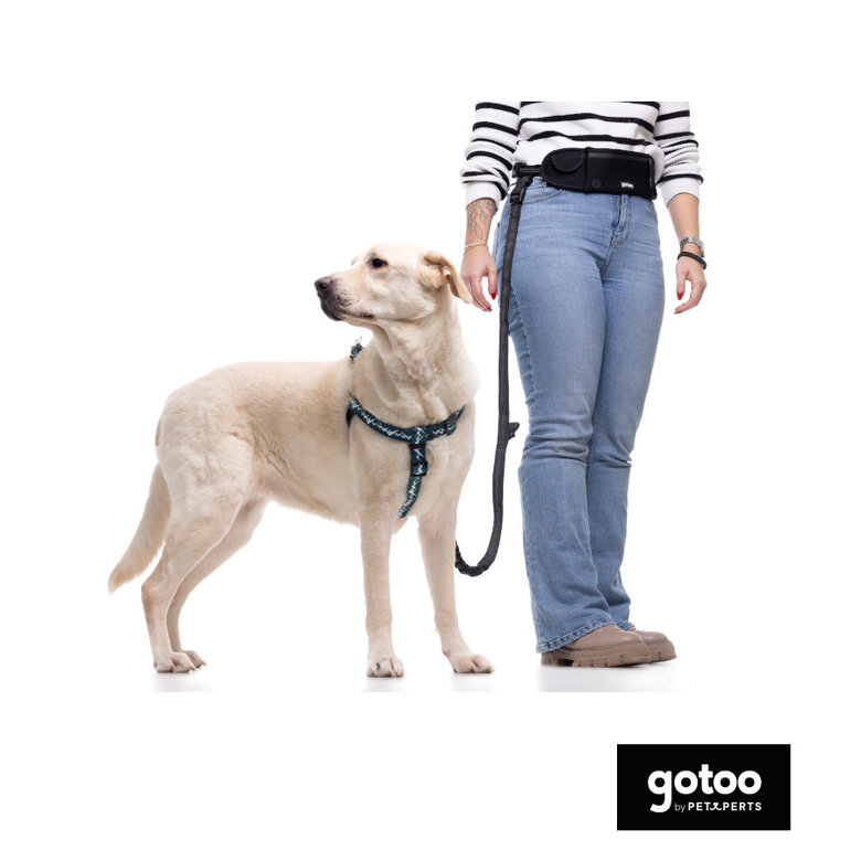 Gotoo Trela mãos livres preta para cães,  Imagem número 3 Gotoo Trela mãos livres preta para cães, , large Imagem número 3