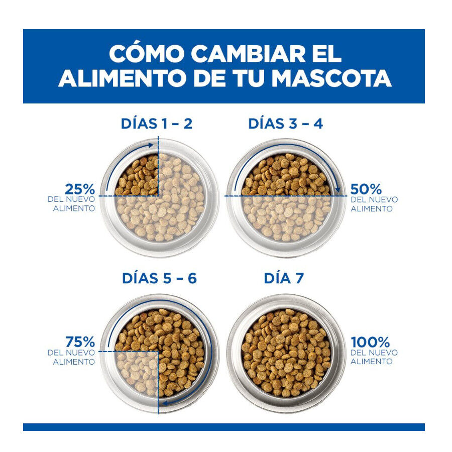 14 kg Hill's Science Plan Large Adult Frango ra&ccedil;&atilde;o para c&atilde;es, , large Imagem n&uacute;mero 11