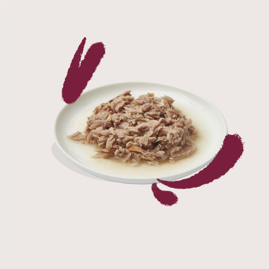 70 g Edgard & Cooper Alimento h&uacute;mido de atum e frango em lata para gatos, , large Imagem n&uacute;mero 4