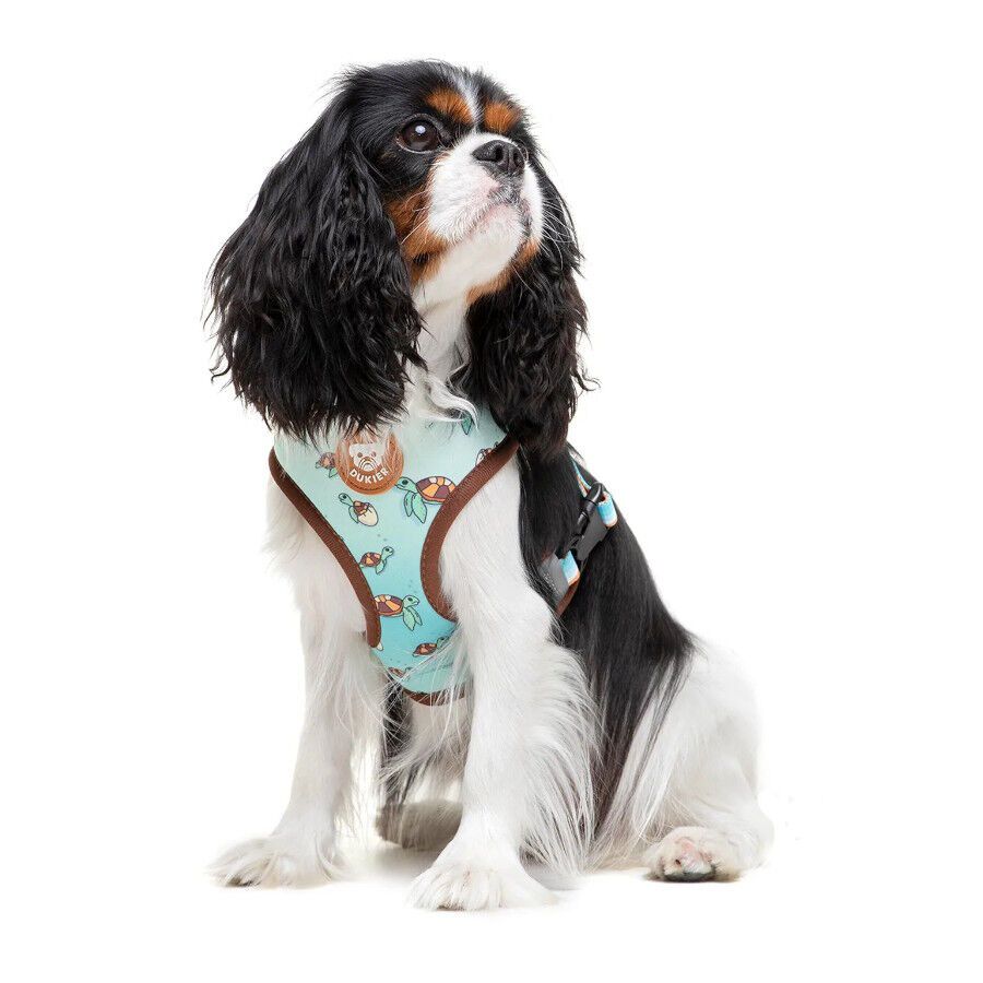 Dukier Peitoral revers&iacute;vel com estampado de tartaruga para c&atilde;es, , large Imagem n&uacute;mero 2