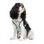 Dukier Peitoral reversível com estampado de tartaruga para cães, , large Indicador imagem número 2