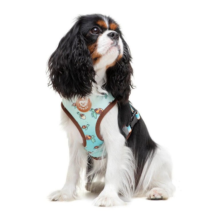 Dukier Peitoral reversível com estampado de tartaruga para cães,  Imagem número 2 Dukier Peitoral reversível com estampado de tartaruga para cães, , large Imagem número 2
