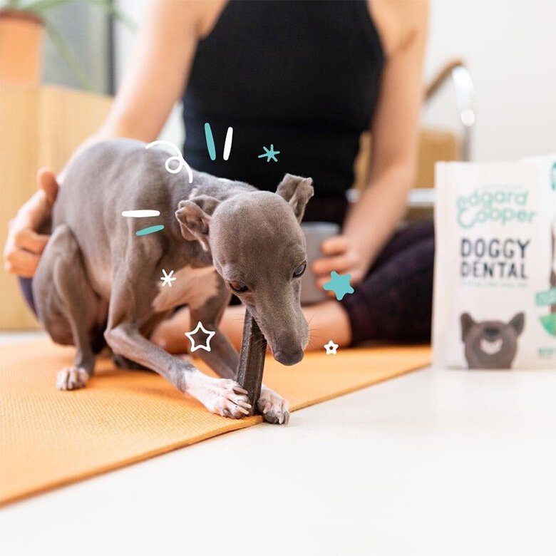 7 sticks  Edgard y Cooper Snacks dentários Adult Large para cães ,  Imagem número 2 7 sticks  Edgard y Cooper Snacks dentários Adult Large para cães , , large Imagem número 2