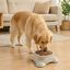 Leeby Comedouro de Pl&aacute;stico Taupe para c&atilde;es, , large Indicador imagem n&uacute;mero 1