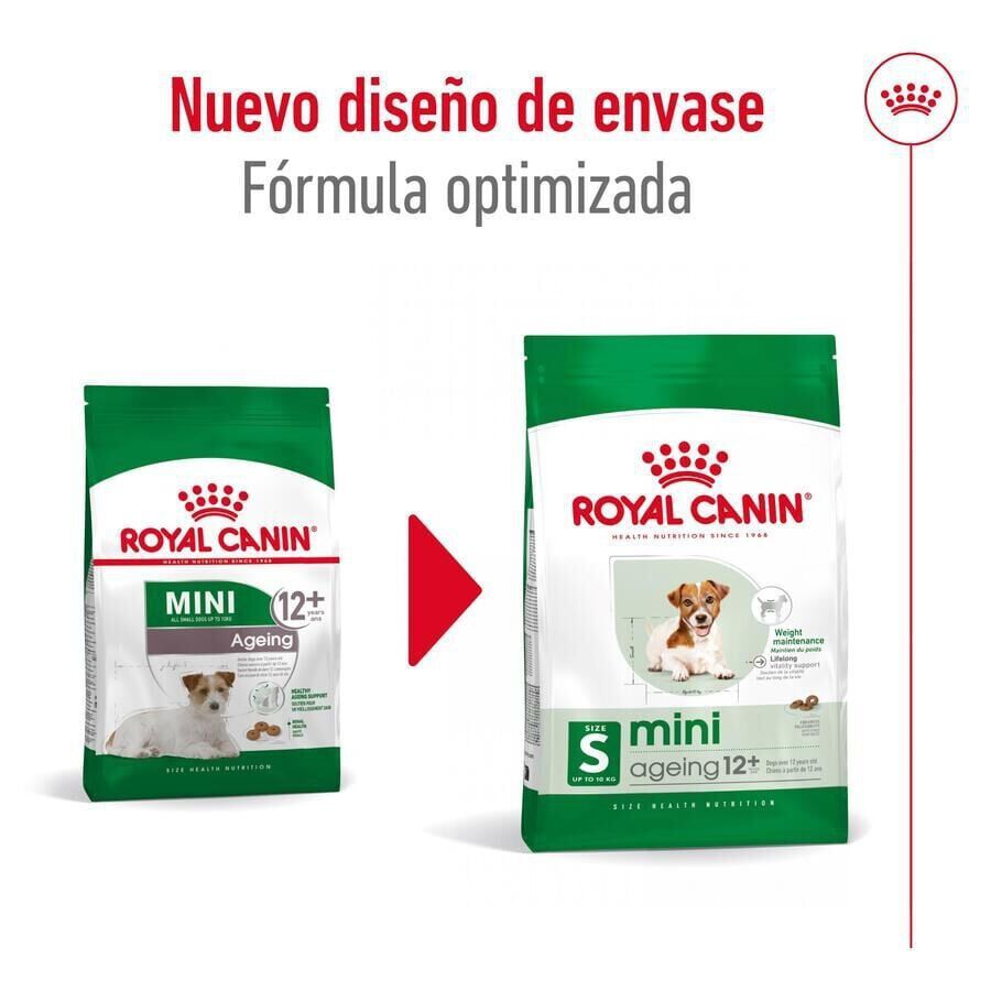 3.5 kg Royal Canin Mini 12+ Ageing ra&ccedil;&atilde;o para c&atilde;es, , large Imagem n&uacute;mero 3