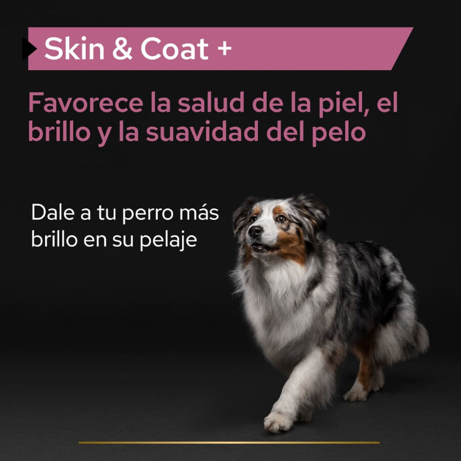 250 ml Pro Plan Skin & Coat Suplemento em &Oacute;leo para c&atilde;es, , large Imagem n&uacute;mero 7