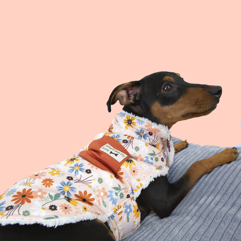 Outech Spring casaco de flores para cães,  Imagem número 3 Outech Spring casaco de flores para cães, , large Imagem número 3