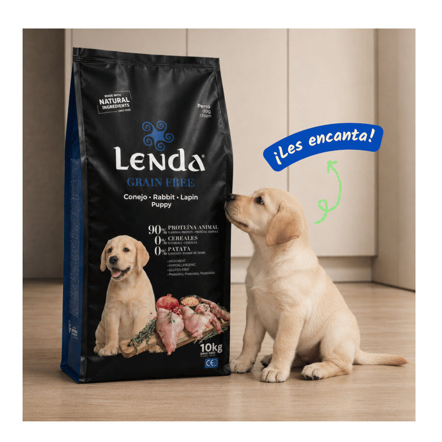 2 Kg Lenda Grain Free Puppy Ra&ccedil;&atilde;o de Coelho para c&atilde;es, , large Imagem n&uacute;mero 5