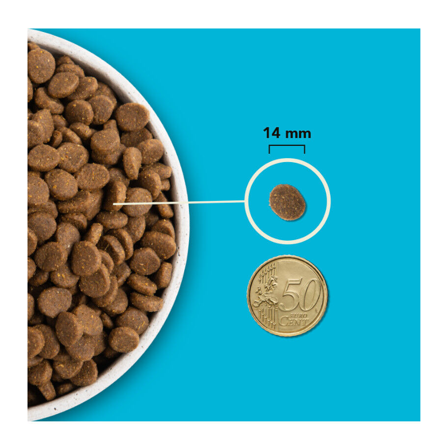 6 kg Acana Pac&iacute;fica ra&ccedil;&atilde;o para c&atilde;es, , large Imagem n&uacute;mero 8