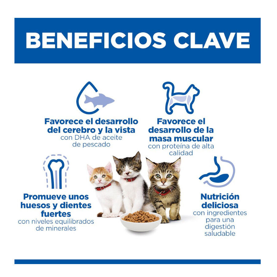 1.5 kg Hill's Science Plan Ra&ccedil;&atilde;o de salm&atilde;o para gatinhos, , large Imagem n&uacute;mero 10