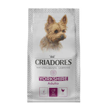 Criadores Yorkshire Terrier Frango ração para cães