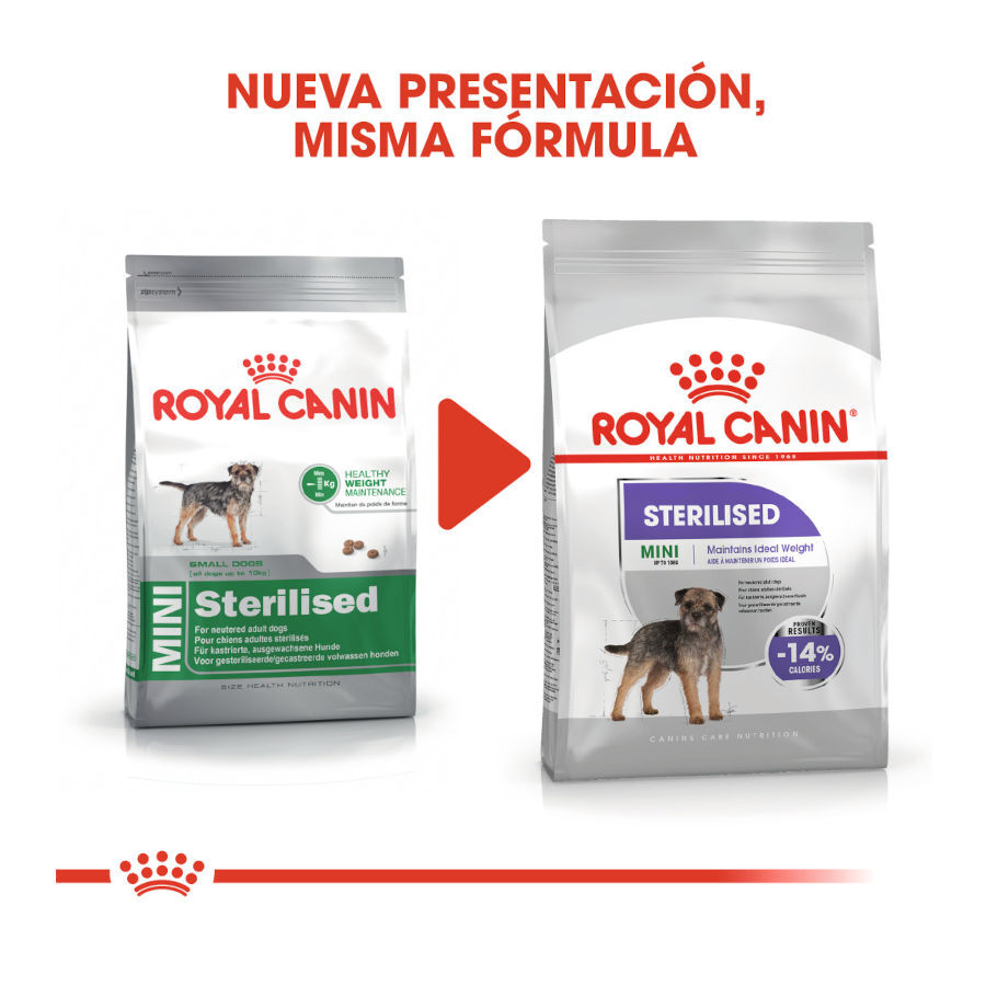8 kg Royal Canin Mini Sterilised ra&ccedil;&atilde;o para c&atilde;es, , large Imagem n&uacute;mero 3