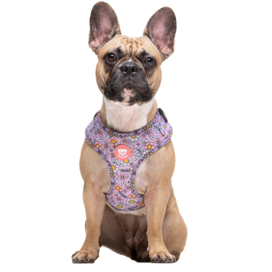 Dukier Flower Power Peitoral ajust&aacute;vel para c&atilde;es , , large Imagem n&uacute;mero 2