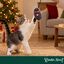 Wonder Christmas Rato Brinquedo para gatos, , large Indicador imagem n&uacute;mero 2